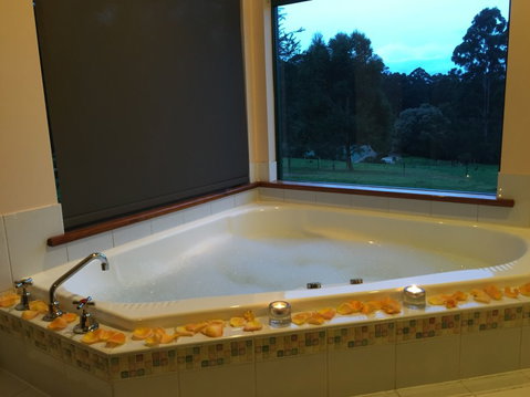 Walpole Wilderness Resort - Accommodation 4U 1