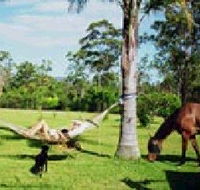 Neds Bed Horse O Tel - Accommodation 4U