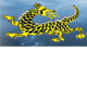 Dragon Phoenix Motel amp Restuarant - Accommodation 4U