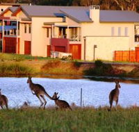 Grand Mercure The Vintage Hunter Valley - Accommodation 4U