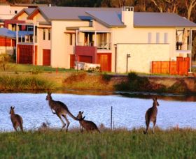 Grand Mercure The Vintage Hunter Valley - Accommodation 4U 0