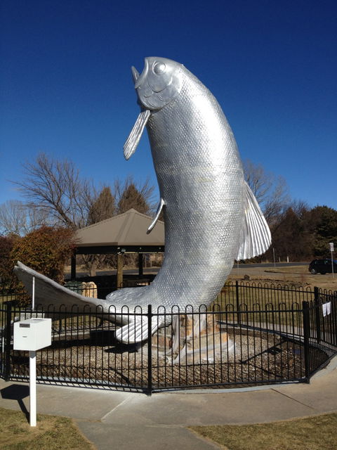 Snow Goose Hotel Motel - Accommodation 4U 0