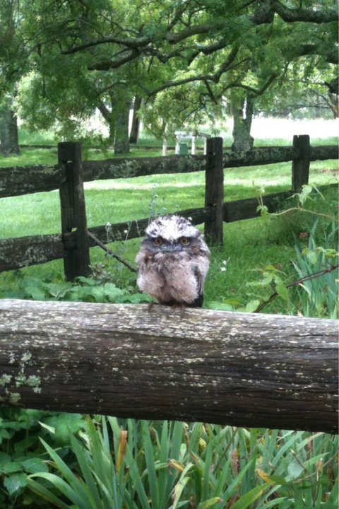 Milton Park - Accommodation 4U 0