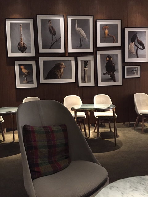 Sheraton Hotels & Resorts - Accommodation 4U 0