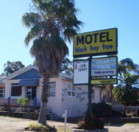 Blackboy Tree Motel - Accommodation 4U