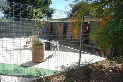 Beenleigh Pet Motel - Accommodation 4U 4