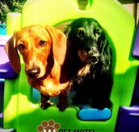 AAA Pet Motel - Accommodation 4U