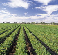 Diplomat Motel amp Restaurant - Accommodation 4U