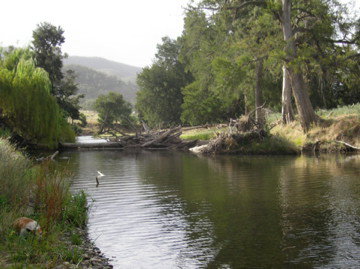 Wee Jasper Station Accommodation - Accommodation 4U 0