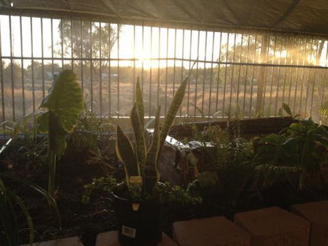 Cityside Accommodation | Mt Isa - Accommodation 4U 5
