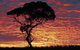 Kimba Caravan Park & Motel - thumb 0