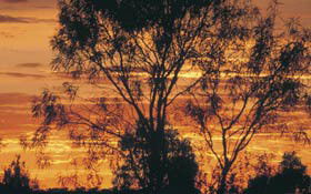 Tilmouth Well - Accommodation 4U 0