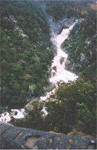 Echidna Gully Paintball And Lazerblits - Accommodation 4U 2