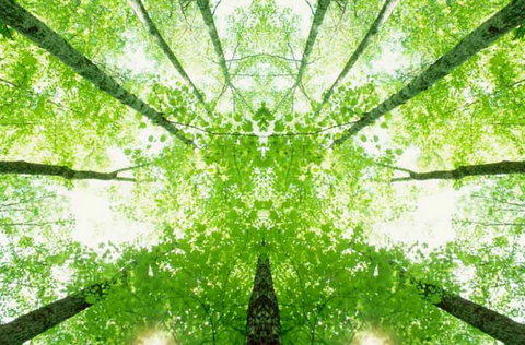 Ibis Budget Wentworthville - Accommodation 4U 2