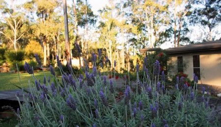 Wild Edge Retreat - Accommodation 4U 2