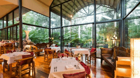 Pethers Rainforest Retreat - Accommodation 4U 1