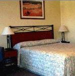 Ashfield Motor Inn - Accommodation 4U 2