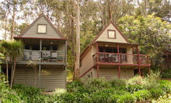 Great Ocean Road Cottages - Accommodation 4U 1