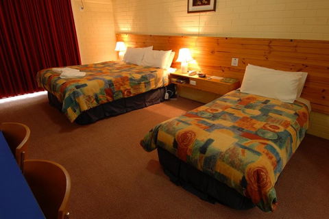 Barossa Motor Lodge - Accommodation 4U 4