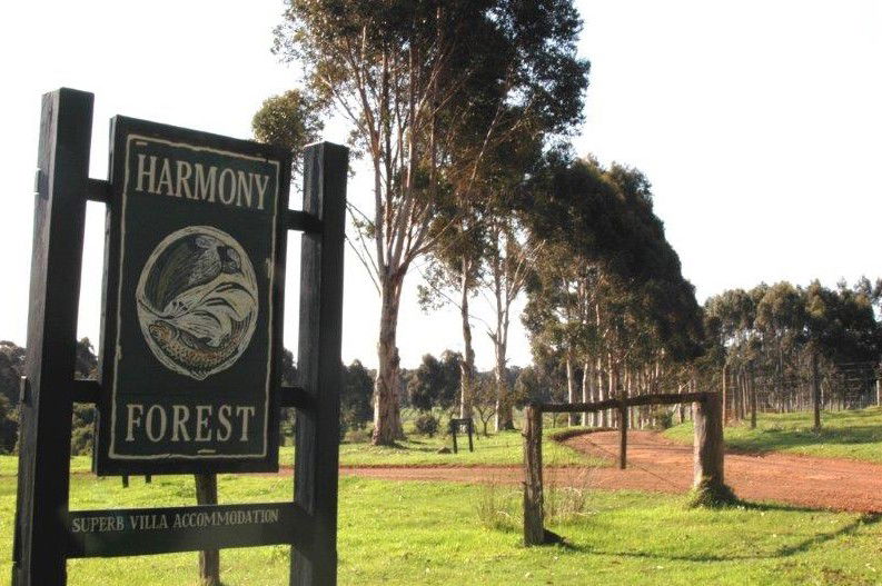  Accommodation 4U