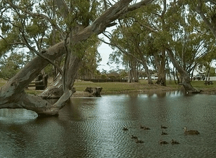 Bordertown Abode Parkland Motel - Accommodation 4U 2