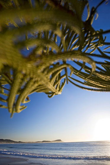 Terrigal Sails Serviced Apartments - Accommodation 4U 5