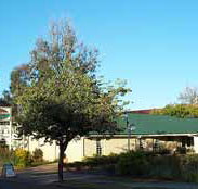 Riverland Motor Inn - Accommodation 4U