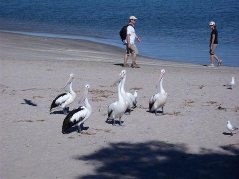 Kalbarri Accommodation Service - Accommodation 4U 5