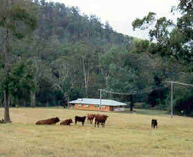 Shute Hill Country Retreat - Accommodation 4U 0