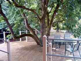 Magnolia House Marysville - Accommodation 4U 0