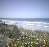 Moyne Cottage - Accommodation 4U