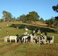 St Columba Cottage - Accommodation 4U