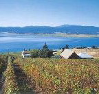 Marions Vineyard  - Accommodation 4U