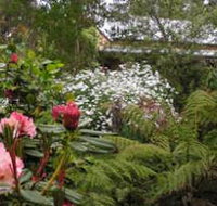 Lorne Lemonade Creek Cottages - Accommodation 4U