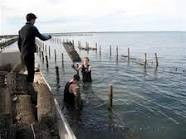 Cowell Foreshore Caravan Park & Holiday Units - Accommodation 4U 2