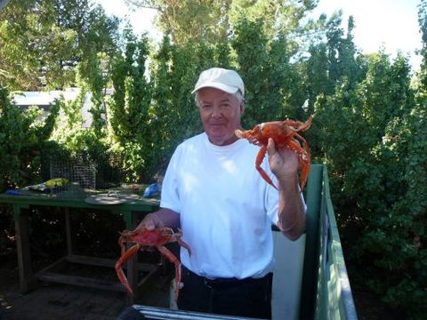 Cowell Foreshore Caravan Park & Holiday Units - Accommodation 4U 4