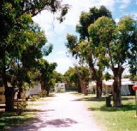 Bathers Paradise Caravan Park - Accommodation 4U