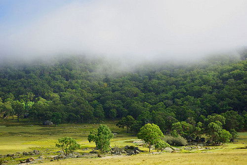 Stannum NSW Accommodation 4U