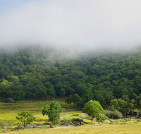 Tor Cottage at Anketell Forest - Accommodation 4U