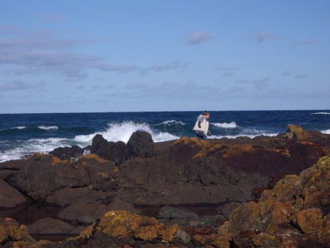 Walkerville South Accommodation - Accommodation 4U 1