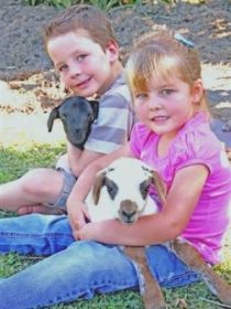 Sarina Motor Inn - Accommodation 4U 0