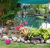 Daintree Wild Bed And Breakfast - Accommodation 4U
