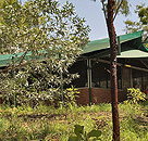 Arnhemland Barramundi Nature Lodge - Accommodation 4U