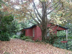 Turkeys Nest Rainforest Cottage - Accommodation 4U 0