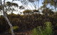 Lions Dryandra Woodlands Village - thumb 0
