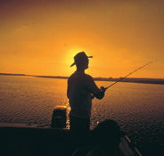 Point Stuart Wilderness Lodge - Accommodation 4U