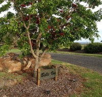 Belle Vue Studio - Accommodation 4U