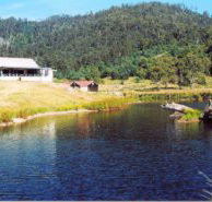 Millybrook Lodge - Accommodation 4U