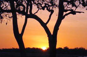 Coodardie Station Stay - Accommodation 4U 0