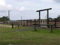 Mt White Lodge - Accommodation 4U 2